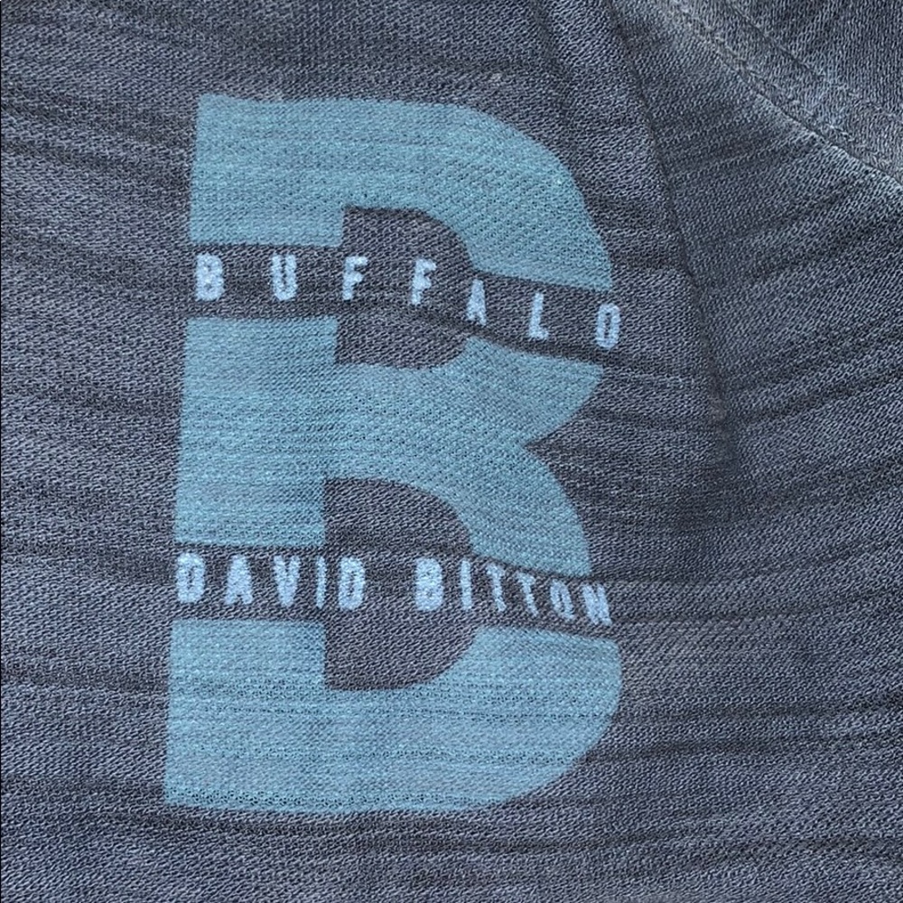 Buffalo Polo